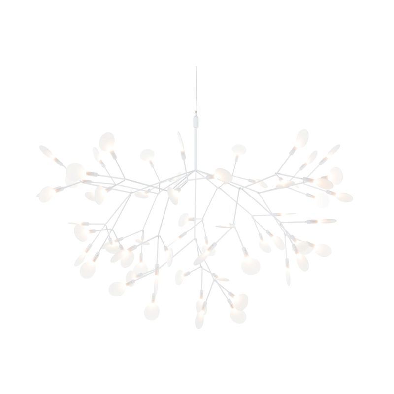 Heracleum III Large