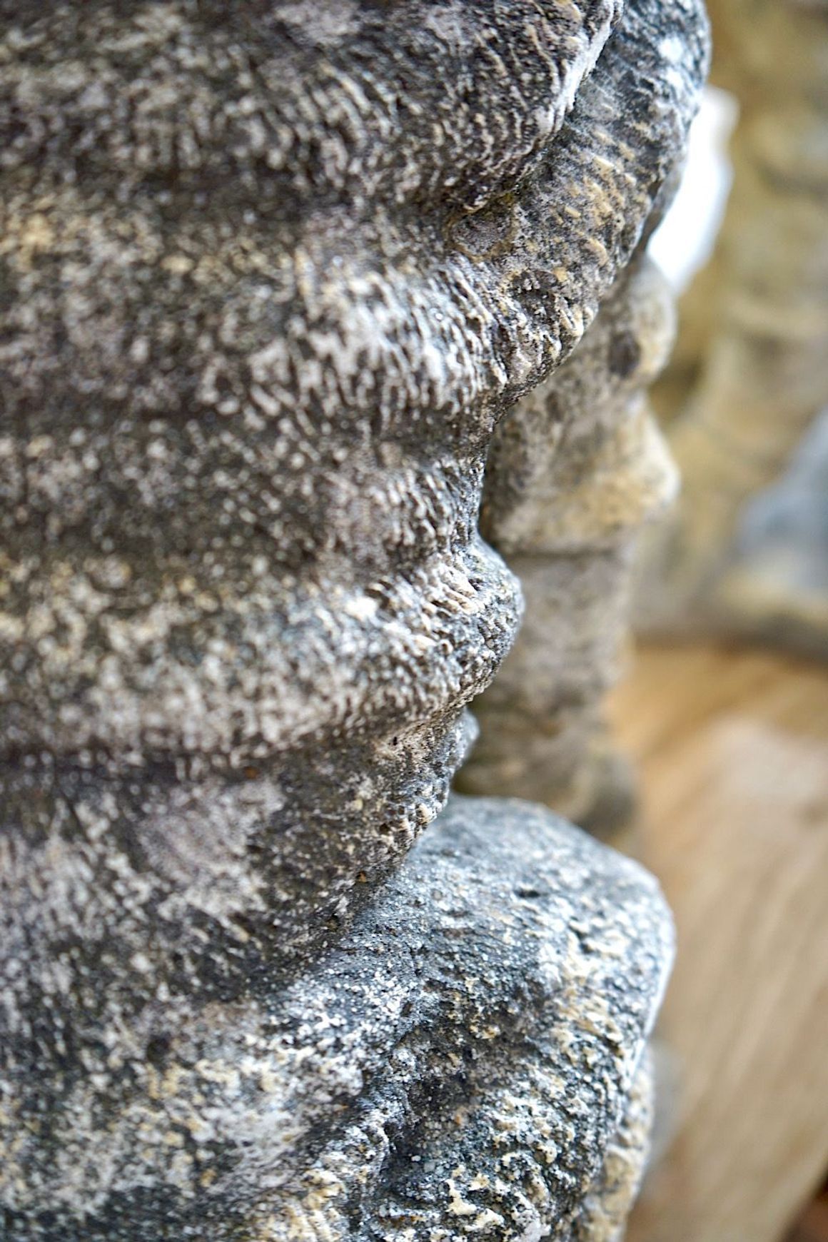 Cast Stone Dog Statues (Pair)