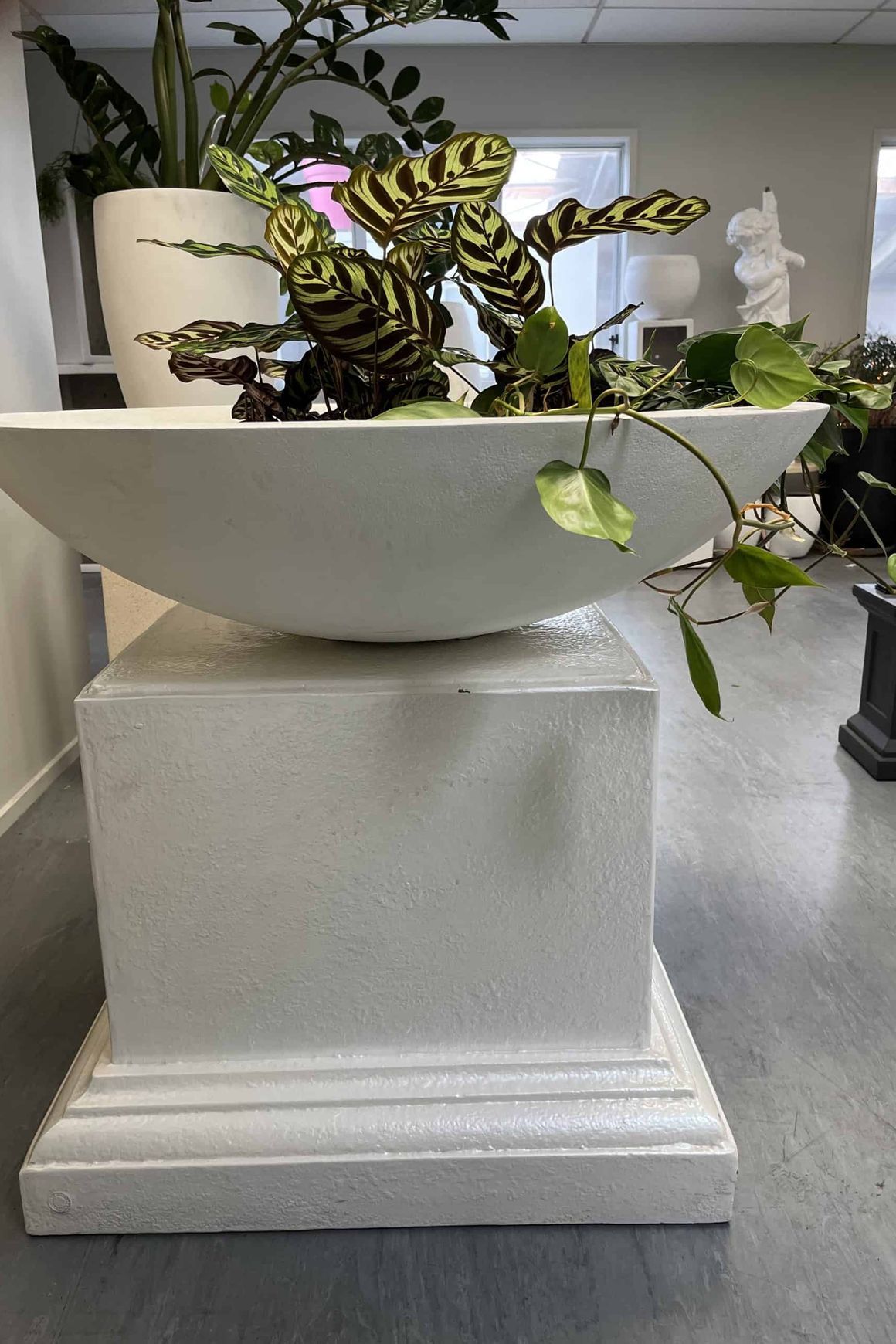 Wok Planter Bowl