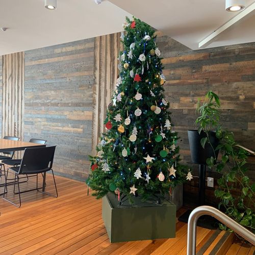 Interior Cladding | Rustic Wall T&G