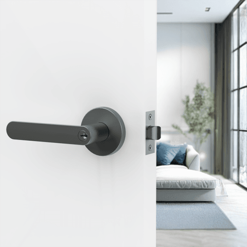Jun Lever Handle In Nickel Graphite