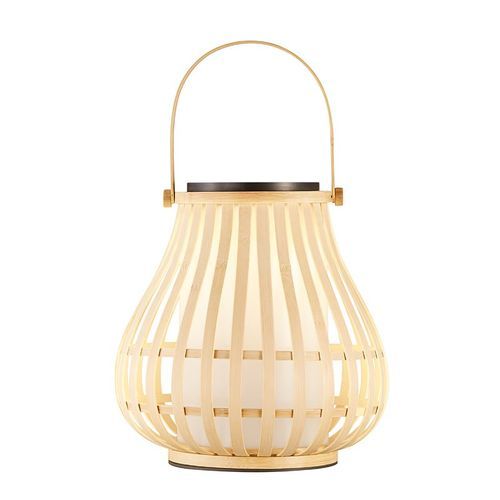 Leo Solar Portable Light