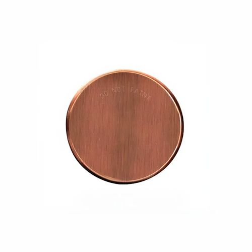 Sprinkler Cover Plate | Brushed Copper