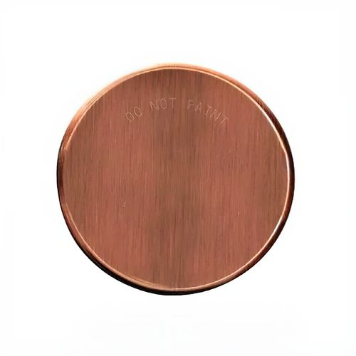 Sprinkler Cover Plate | Brushed Copper