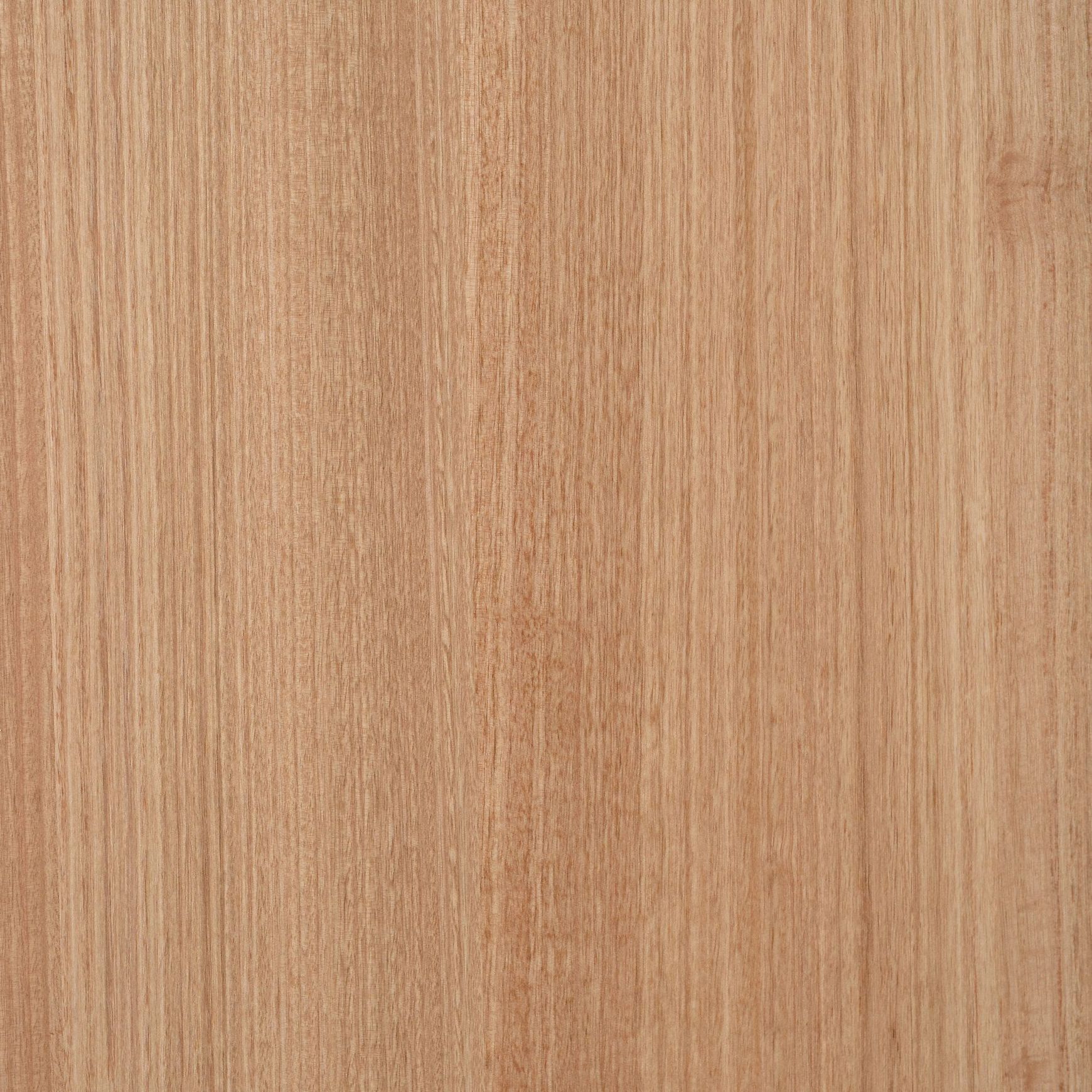 Apine Ash | Clear | Lignapal Panels