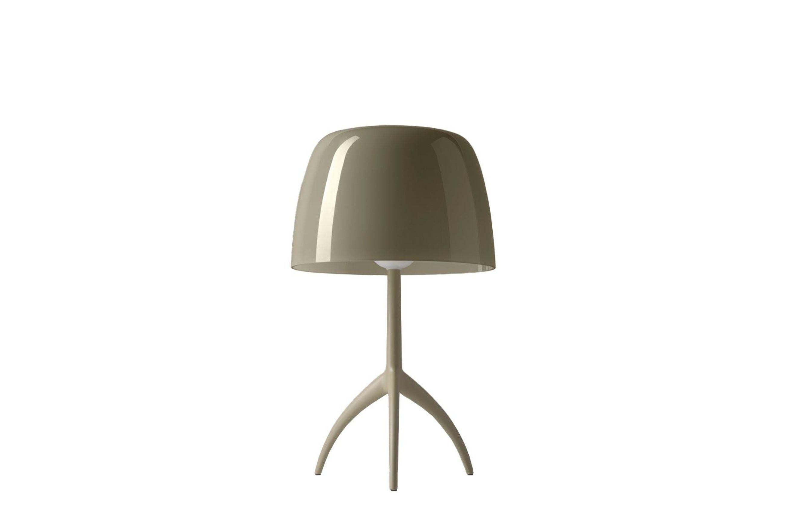Lumiere Nuances Table Lamp