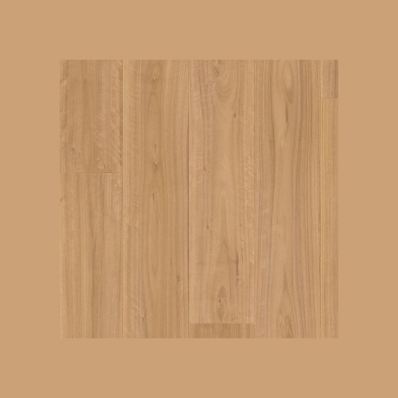 Quick-Step Majestic Blackbutt Laminate Flooring
