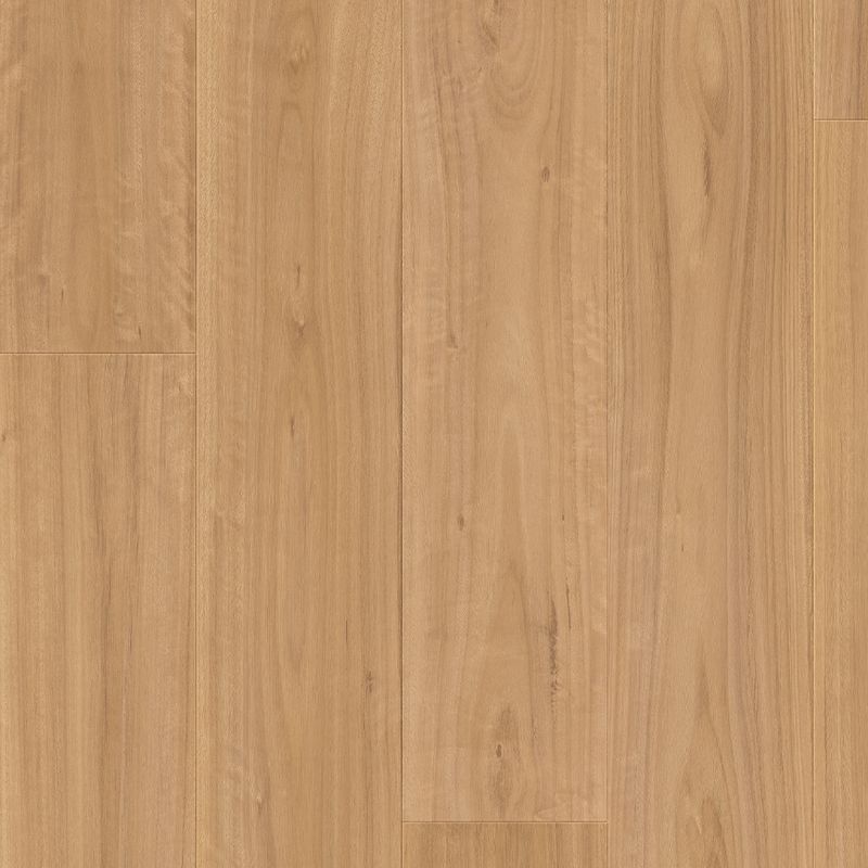 Quick-Step Majestic Blackbutt Laminate Flooring