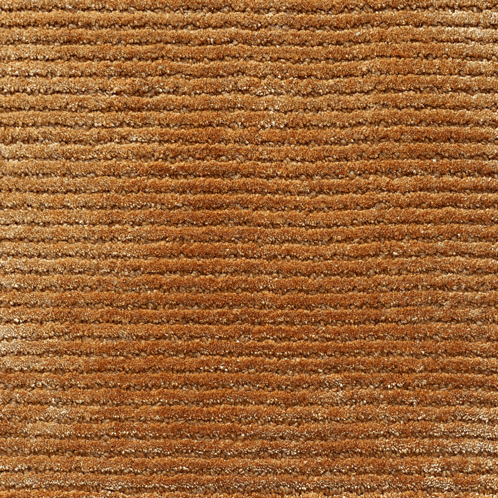 Tapis Row 1 Rug