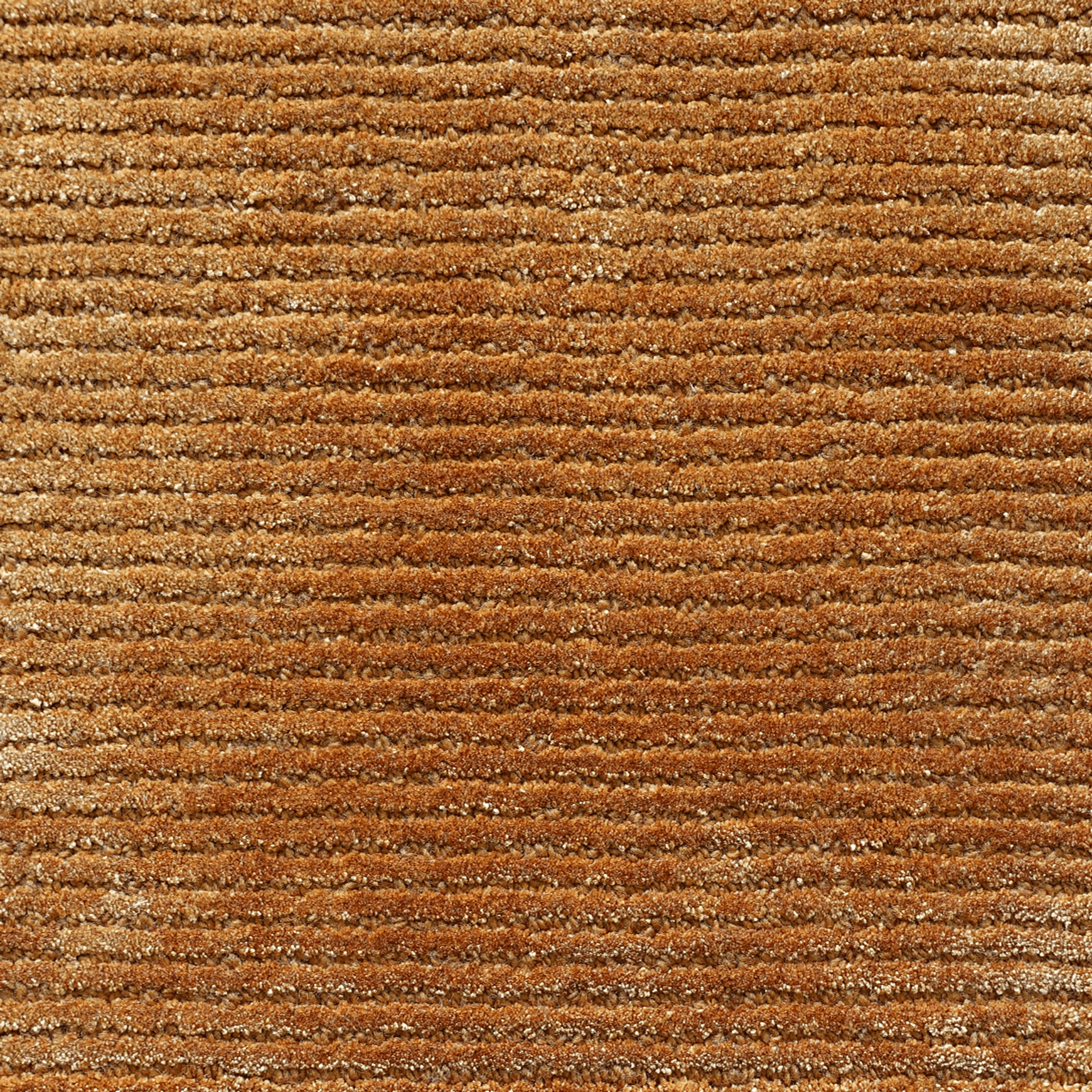 Tapis Row 1
