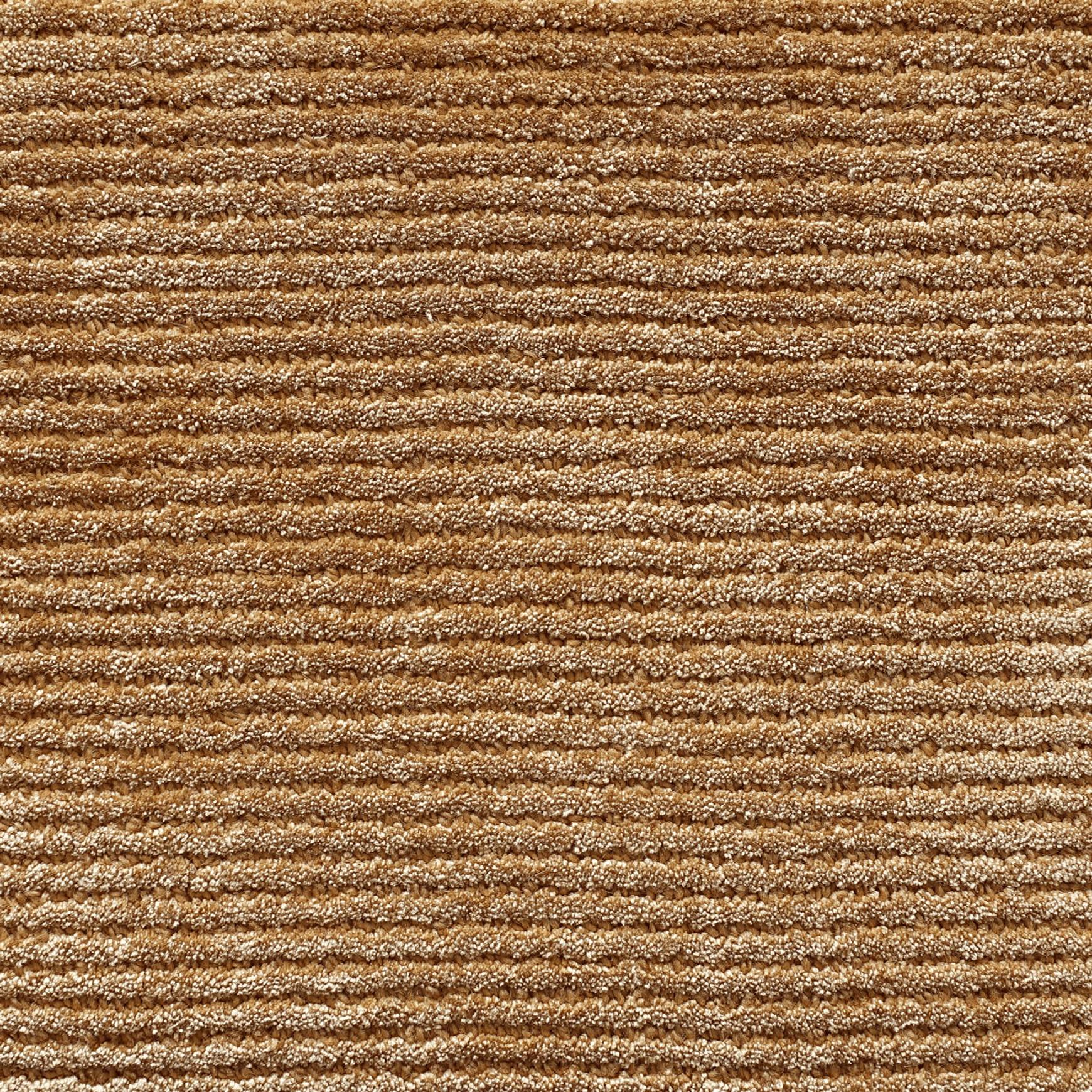 Tapis Row 1