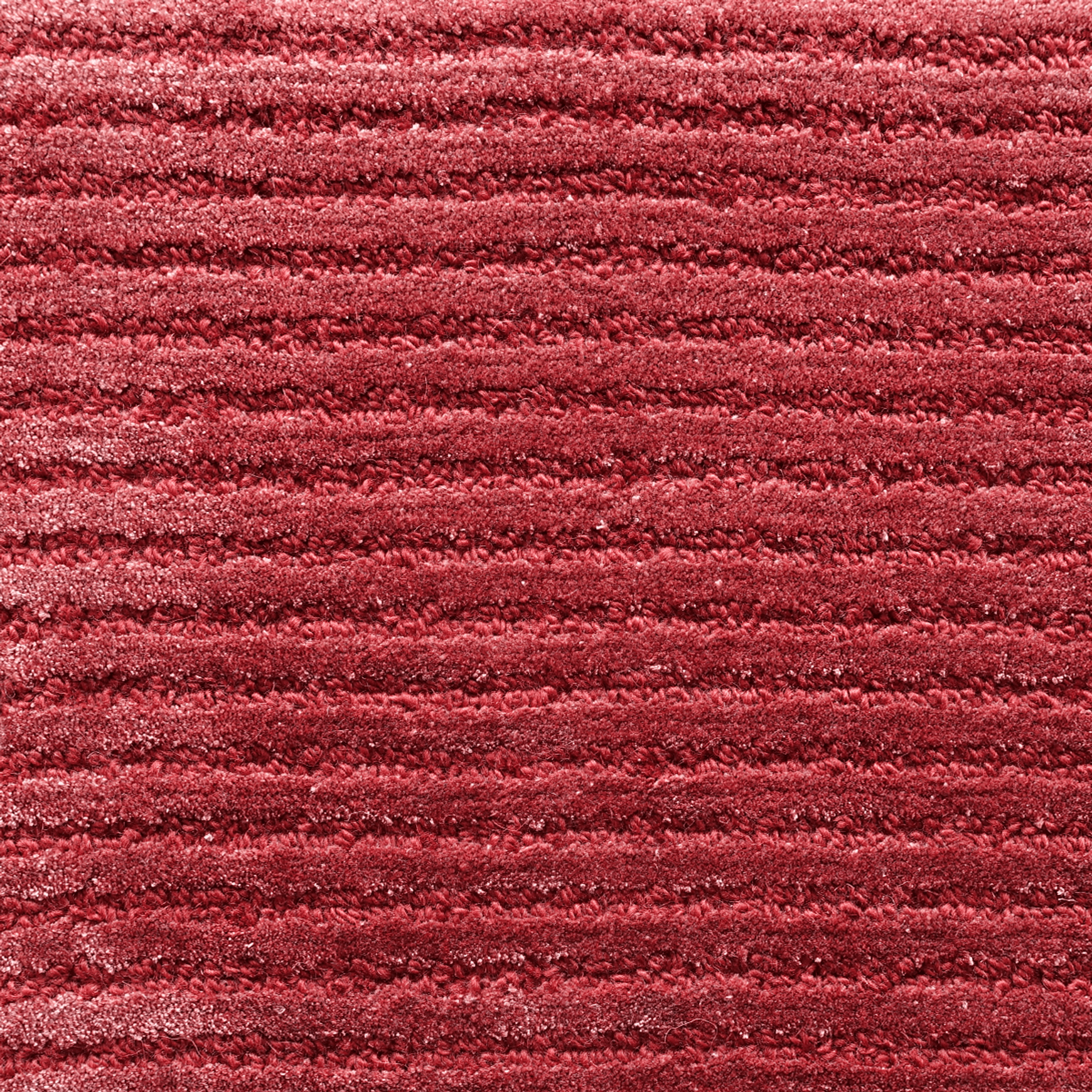Tapis Row 2