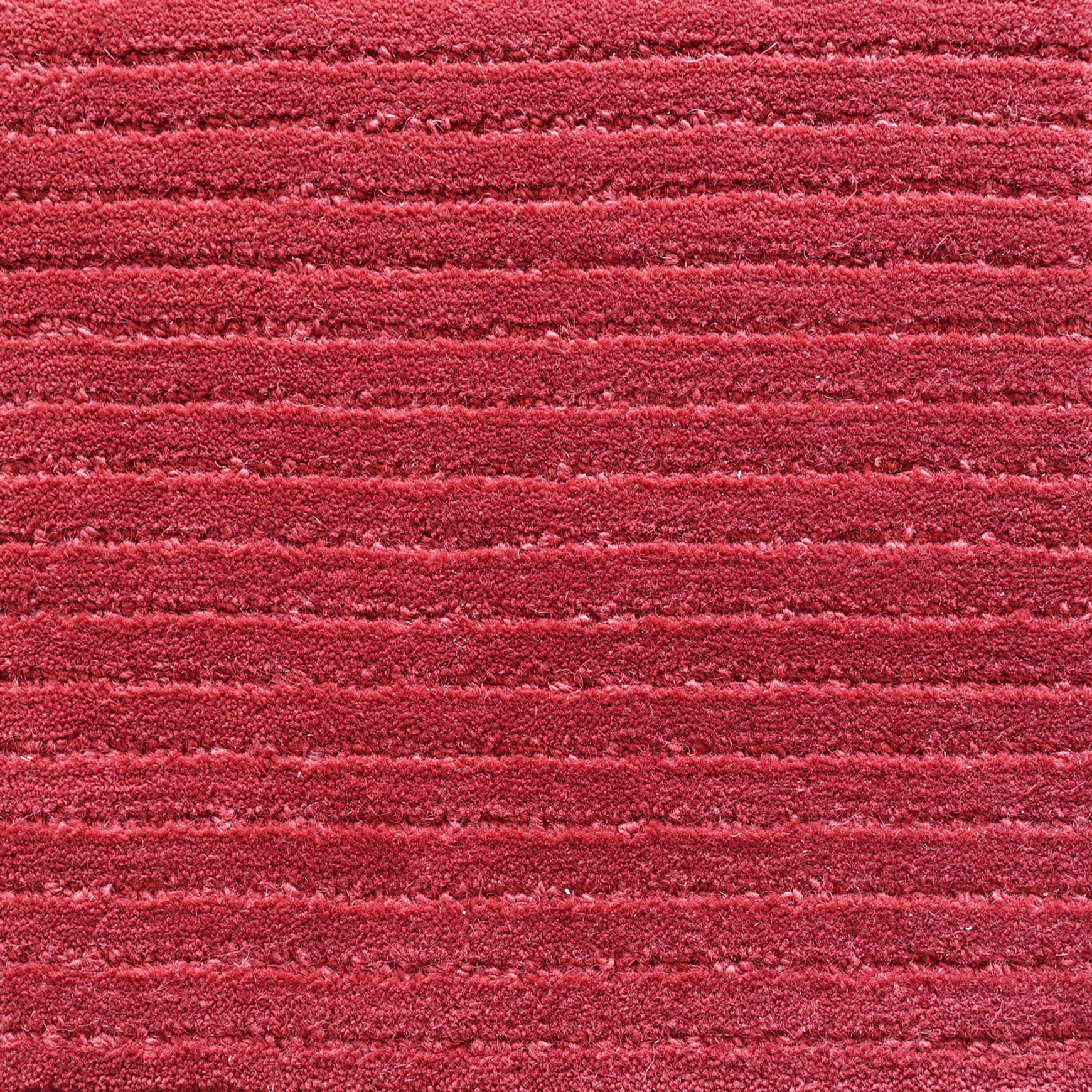 Tapis Row 2