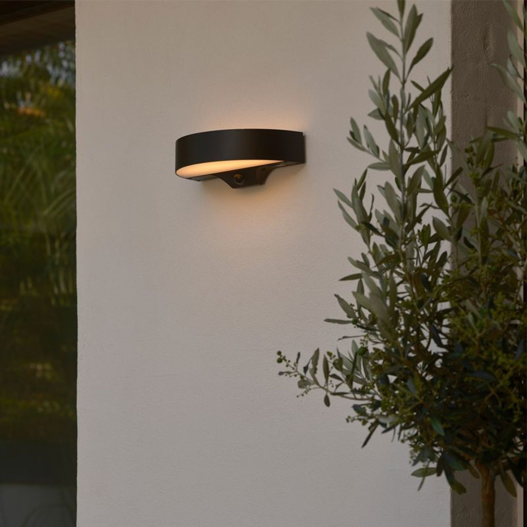 Monay Round Solar Wall Light