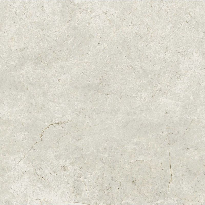 Gecko | Tundra Stone Ivory Tiles