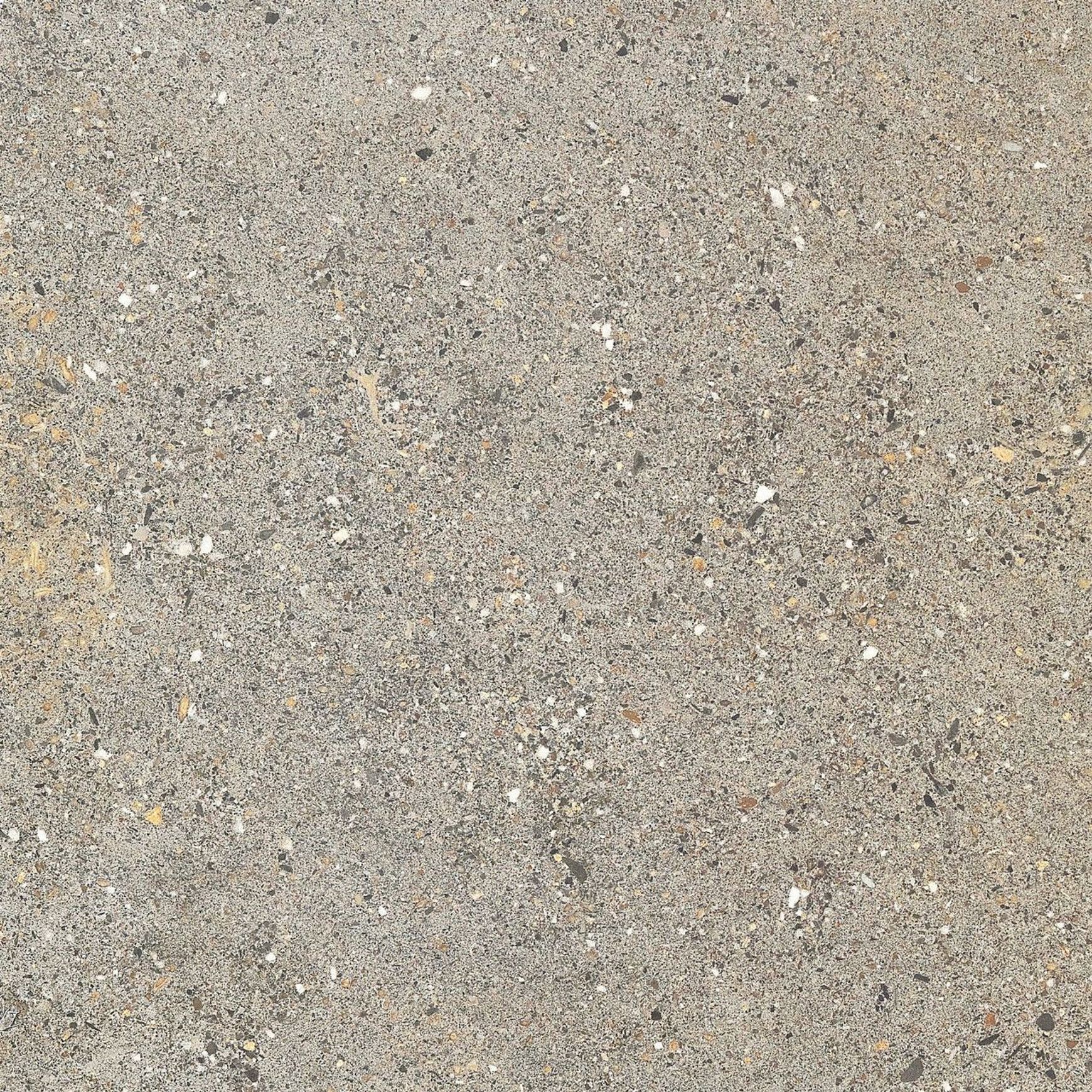 Gecko | Aggregate Light Grey Tiles