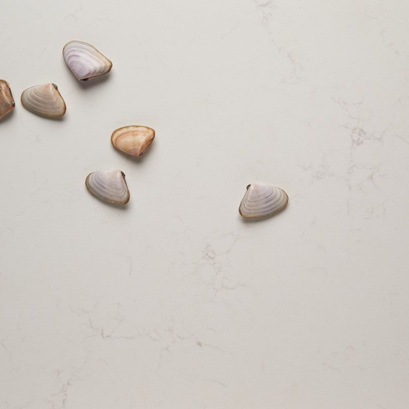 Quantum Zero | Michelangelo