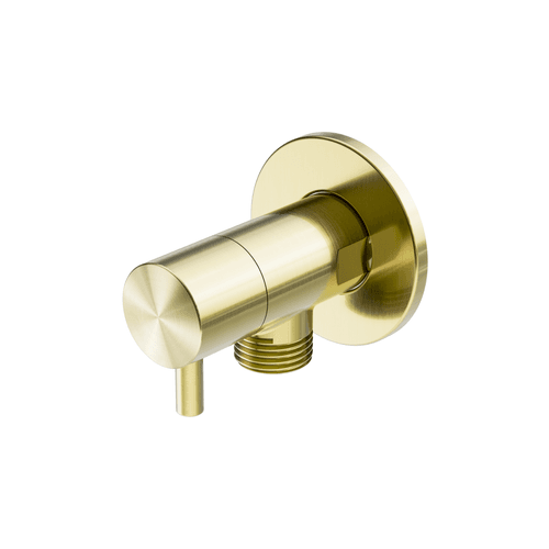Mini Cistern Stop Brushed Gold