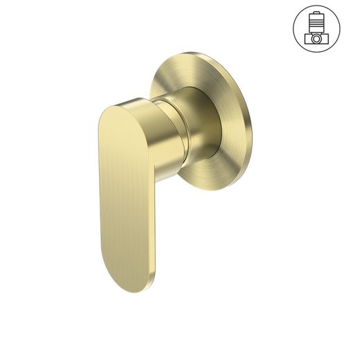 Ecco Shower Mixer 80mm Round Plate Brushed Gold
