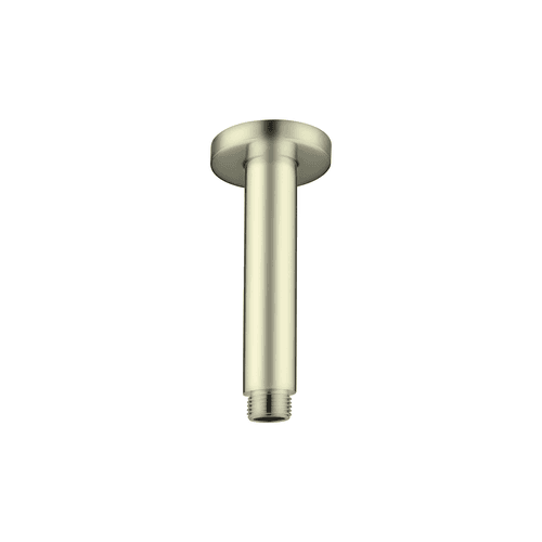 Round Ceiling Arm 100mm Length Brushed Gold