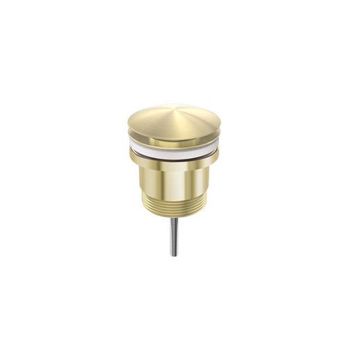 Universal Pop Up Waste Brushed Gold