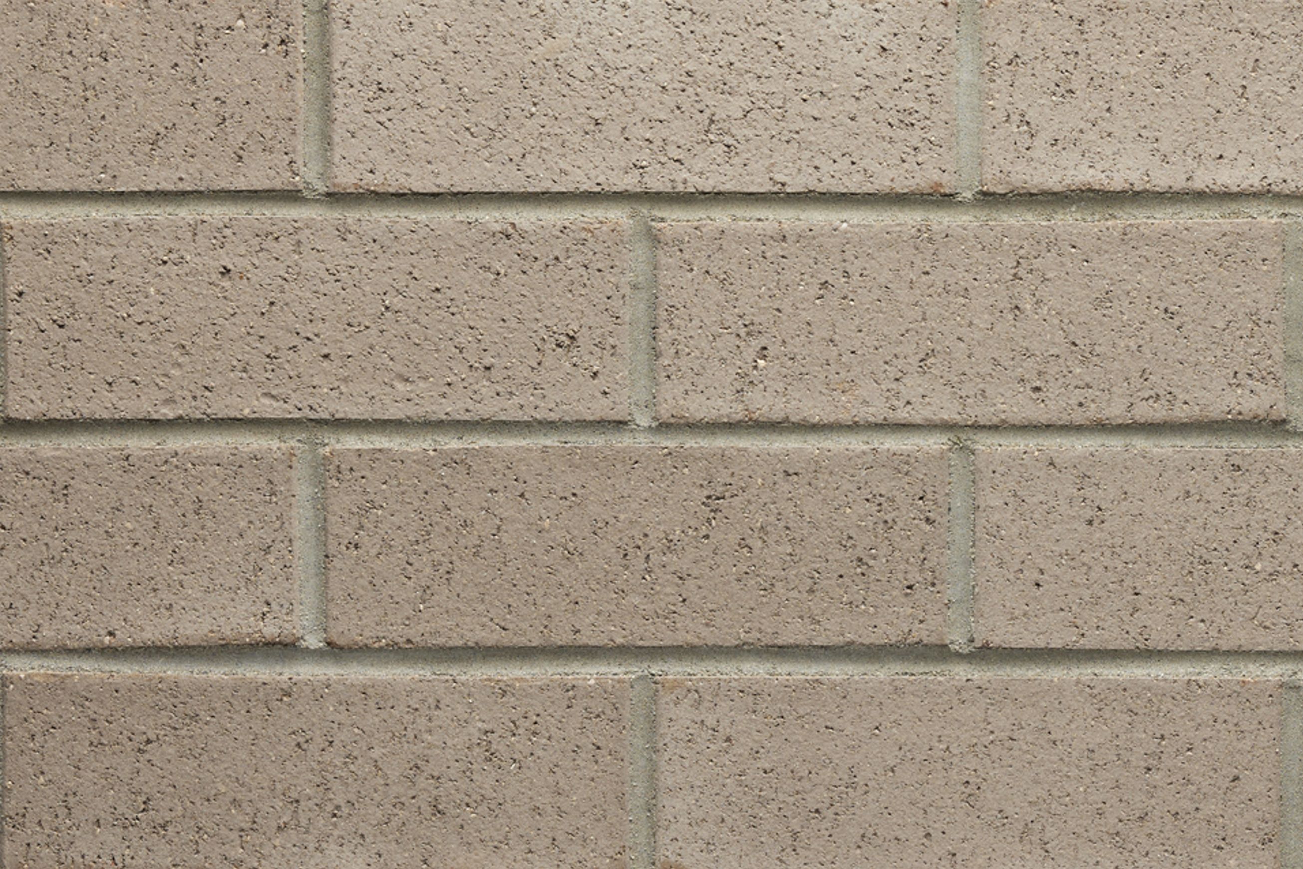 Silver Birch - Origin | Austral Bricks