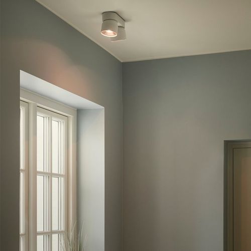 Pitcher 2-Spot Downlight