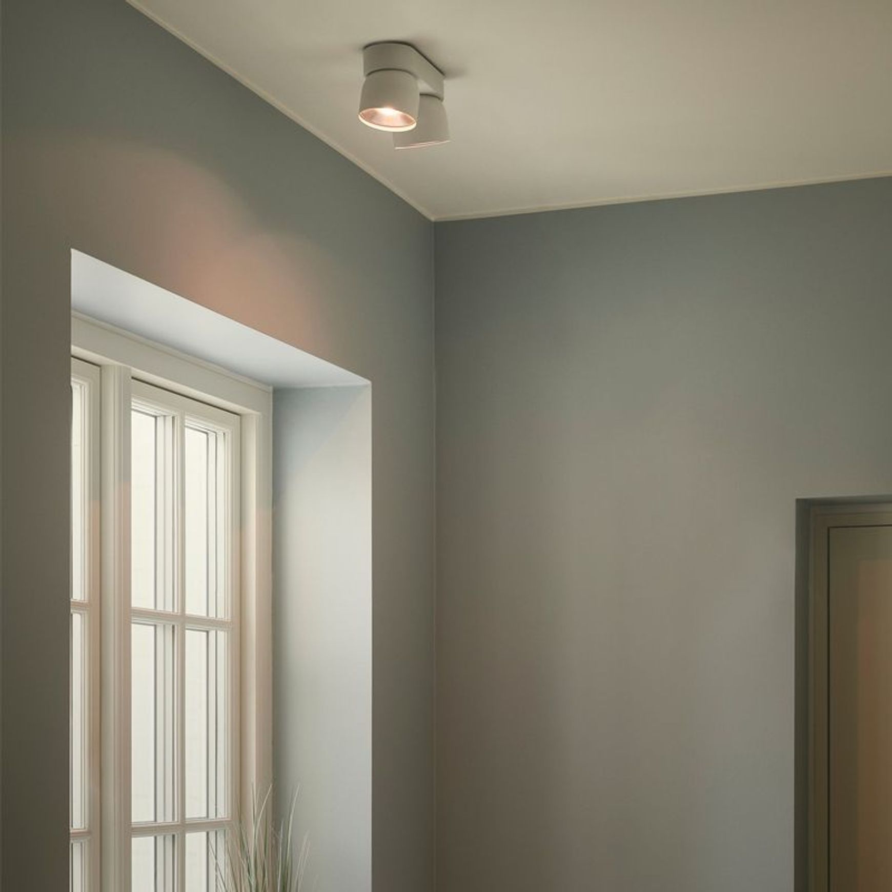 Pitcher 2-Spot Downlight