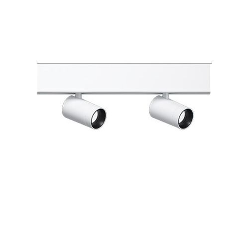 Palco Recessed/Surface