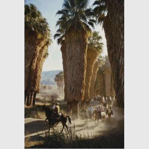 Palm Springs Riders