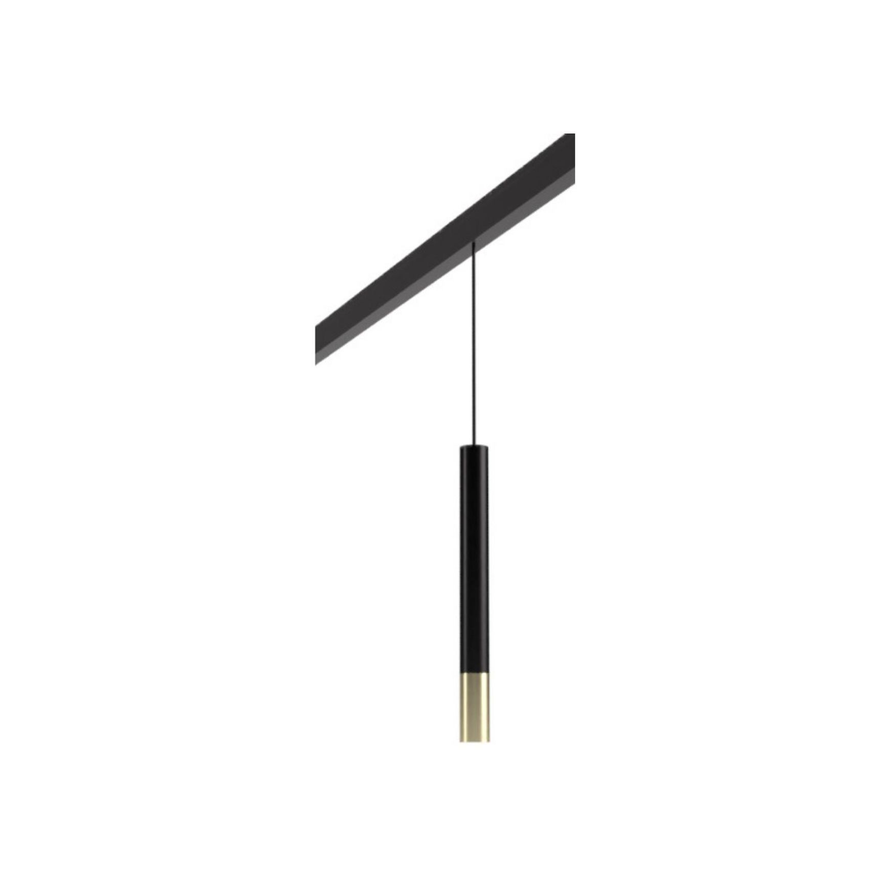 Magnetic Pendant Light