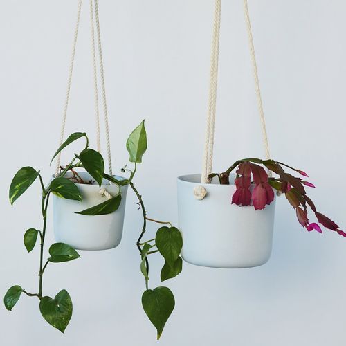 Hanging Planter