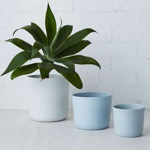 Indoor Planters