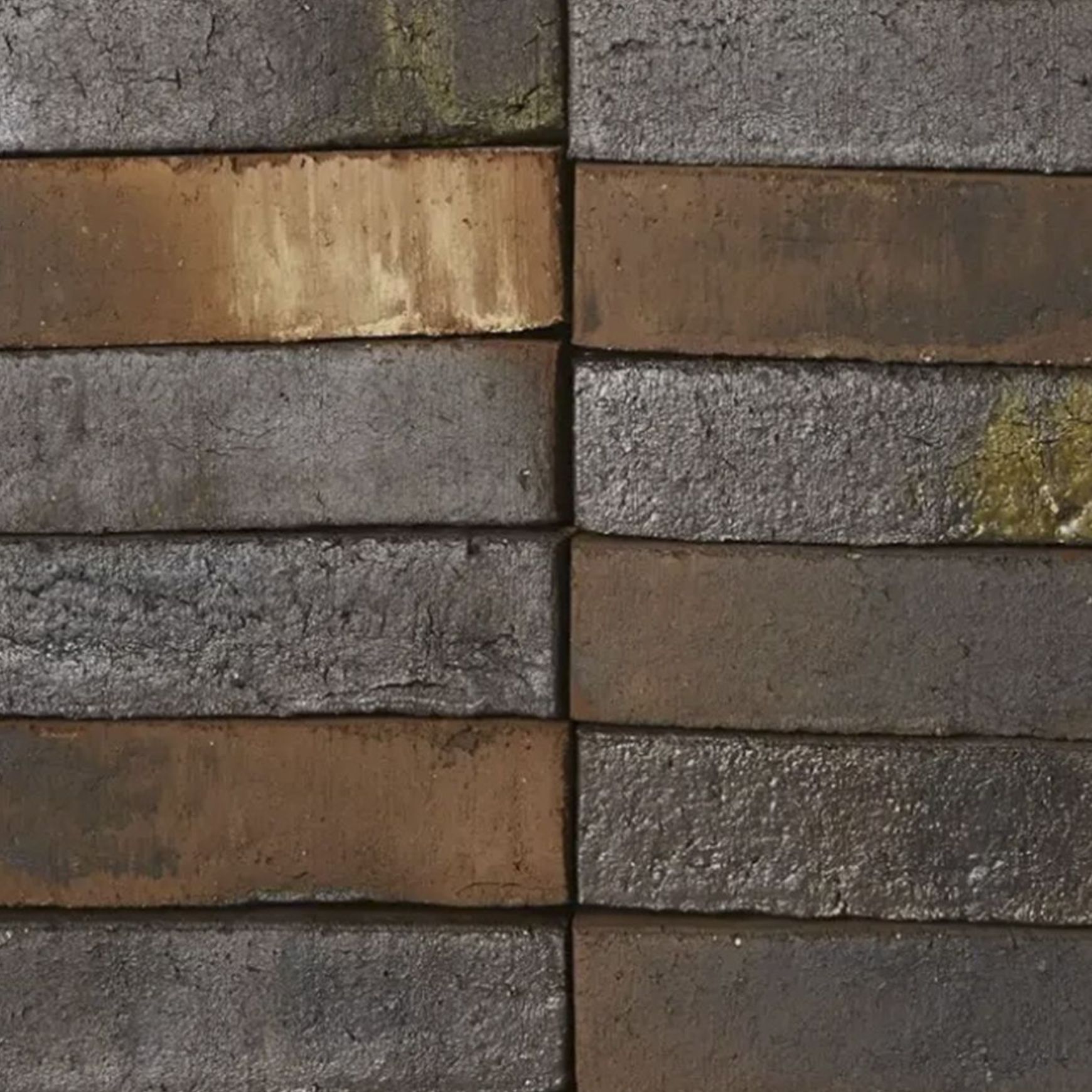 Willems Forest | Bricks