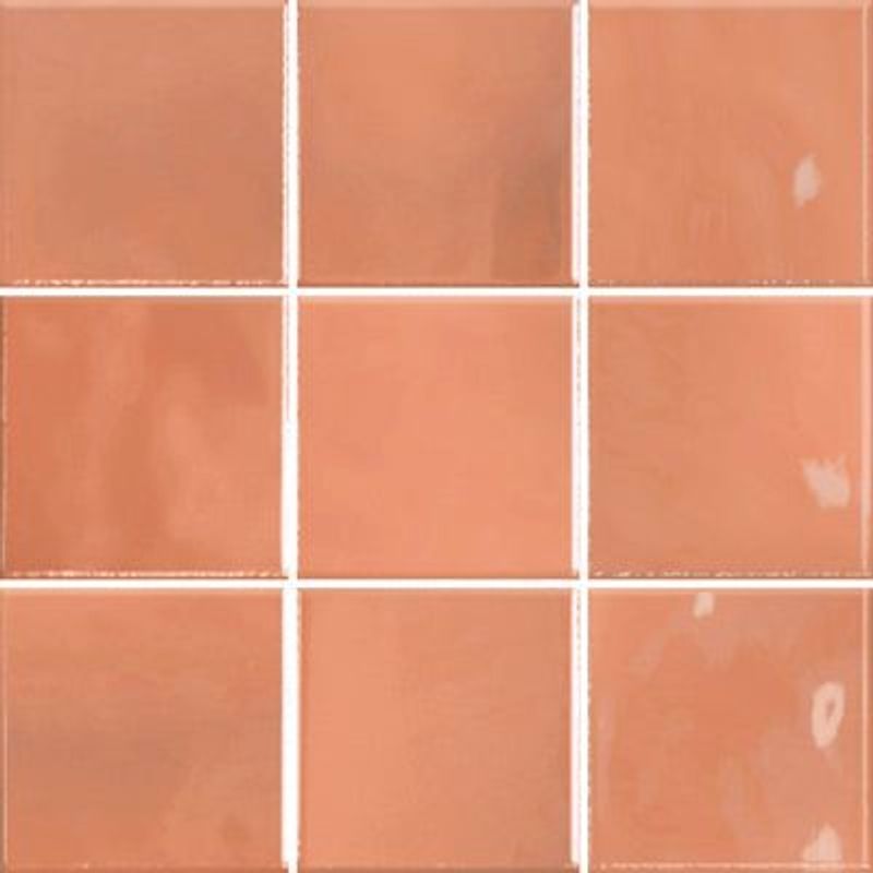 Rebel Coral Gloss 100x100mm