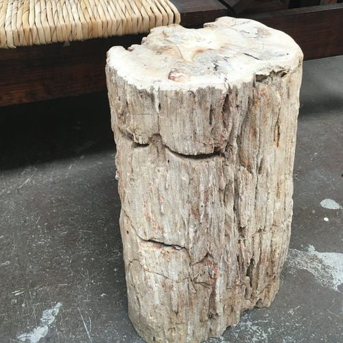 Petrified Wood Occasional Side Table Rustic Bleached