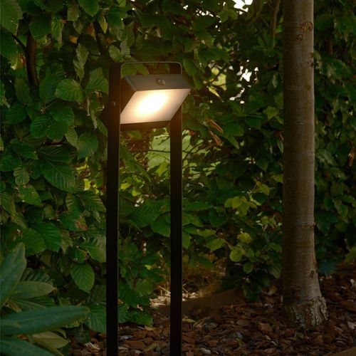 Saulio Solar Garden Spike Light