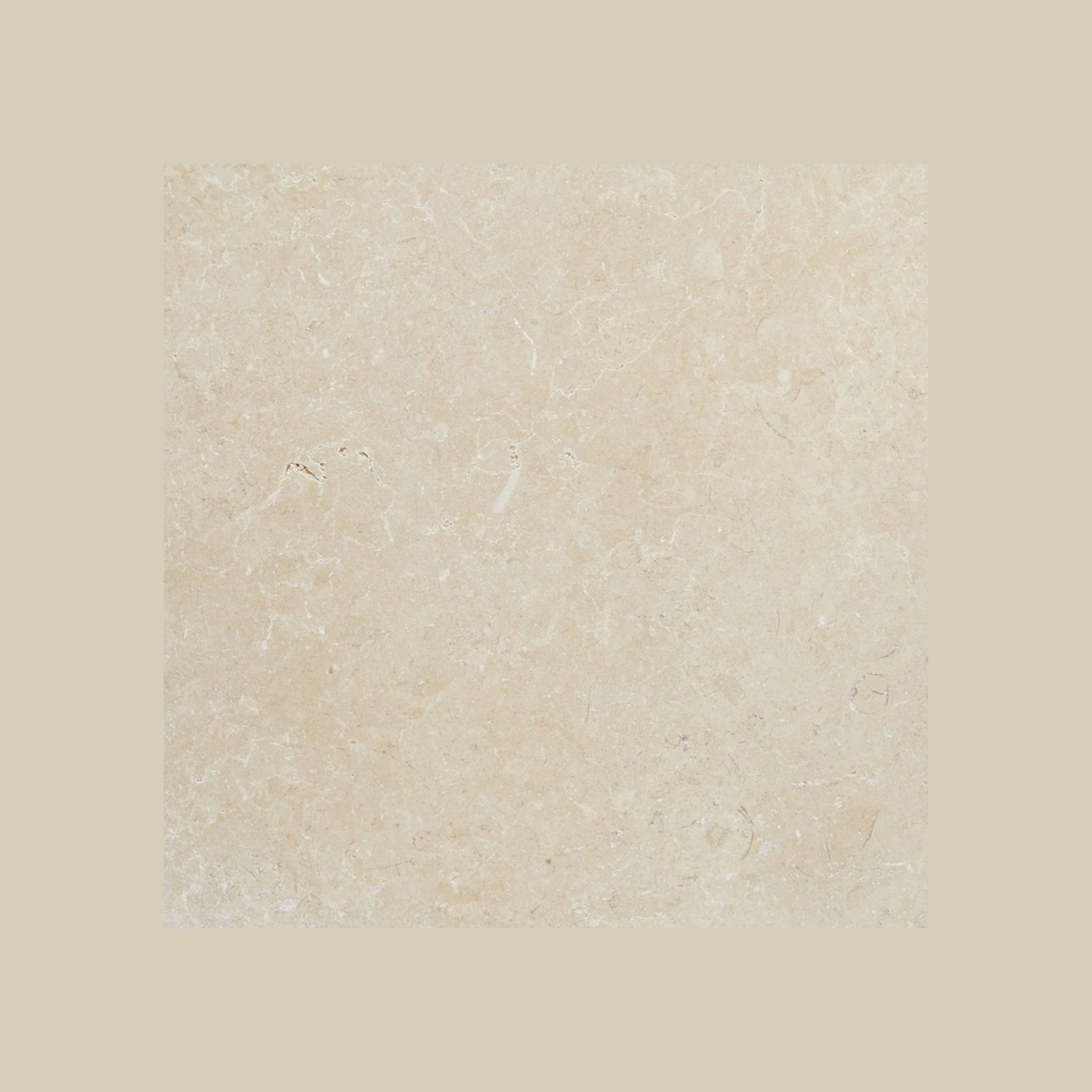 Savana Light Brushed Limestone Pool Coping