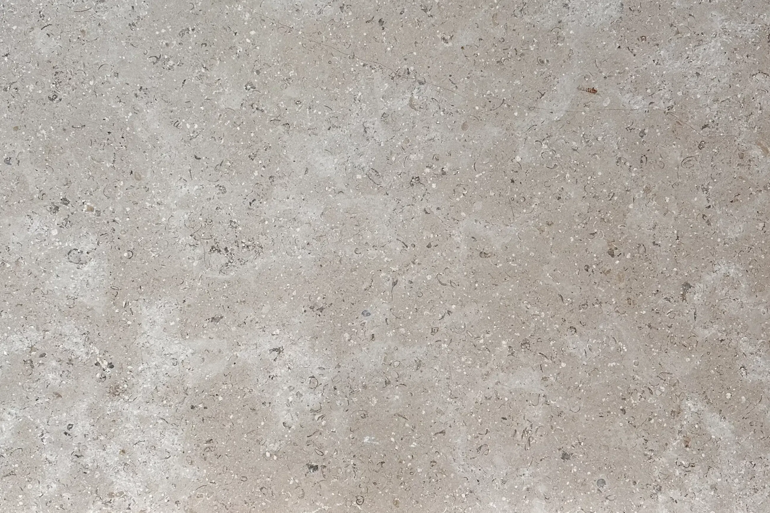 Sinai Pearl Brushed Limestone Pool Coping