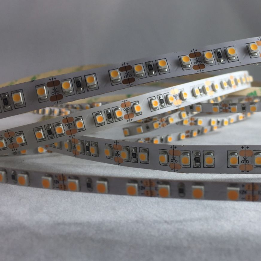 Single Colour Temperature LED Strip
