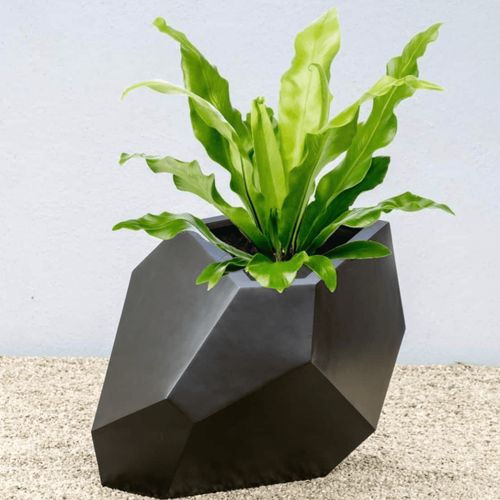 Prism Planter