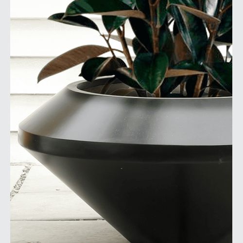 Saucer Planter