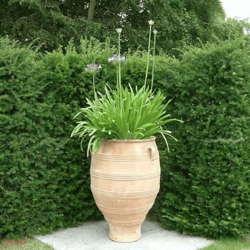 Crete - Pithari Planter