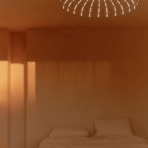 Skynest Ceiling