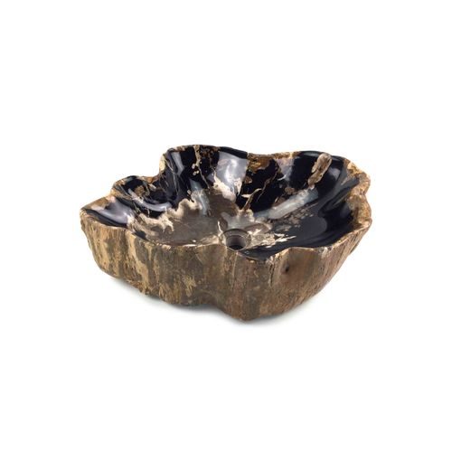 Petrified Wood Stone Basin - Single