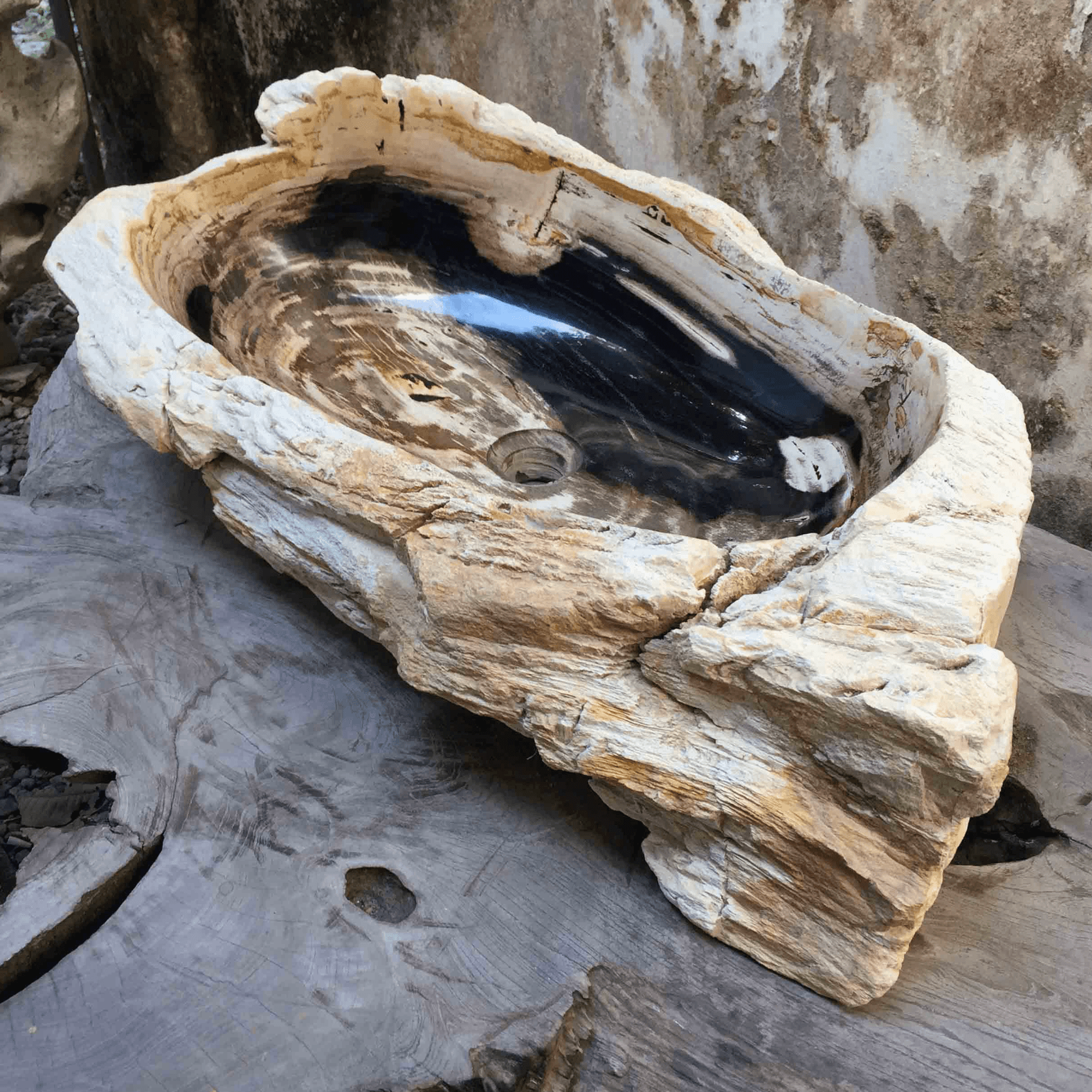 Petrified Wood Stone Basin