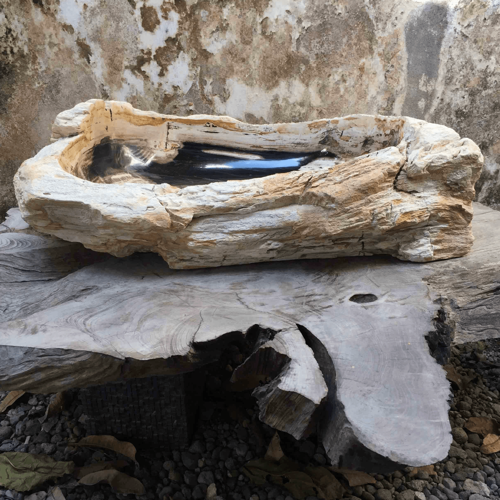 Petrified Wood Stone Basin