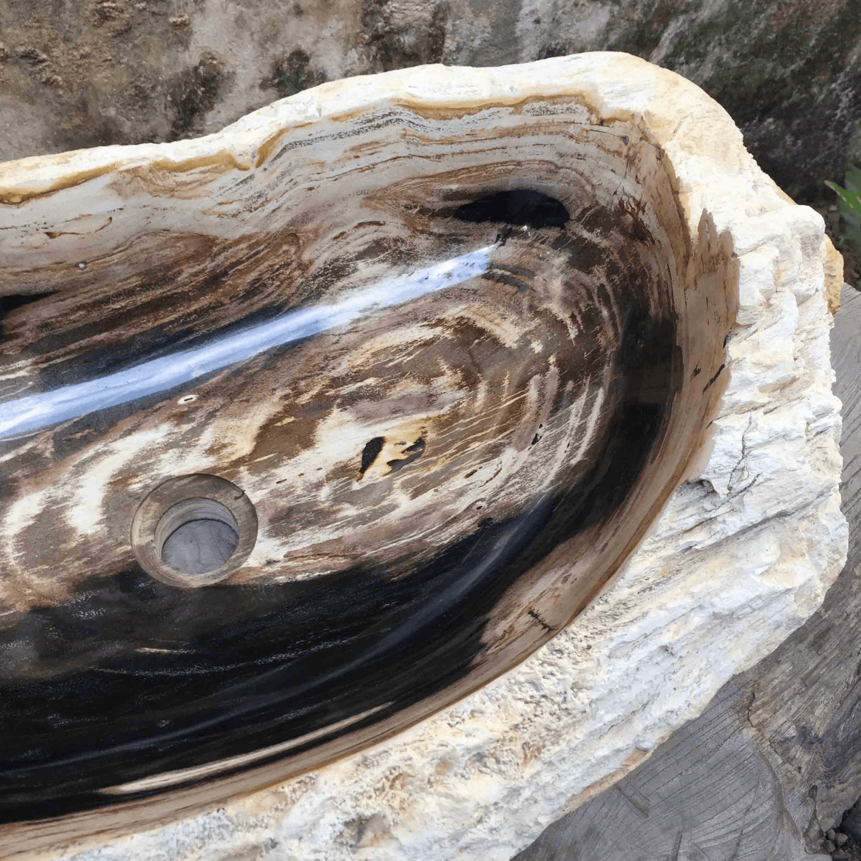 Petrified Wood Stone Basin