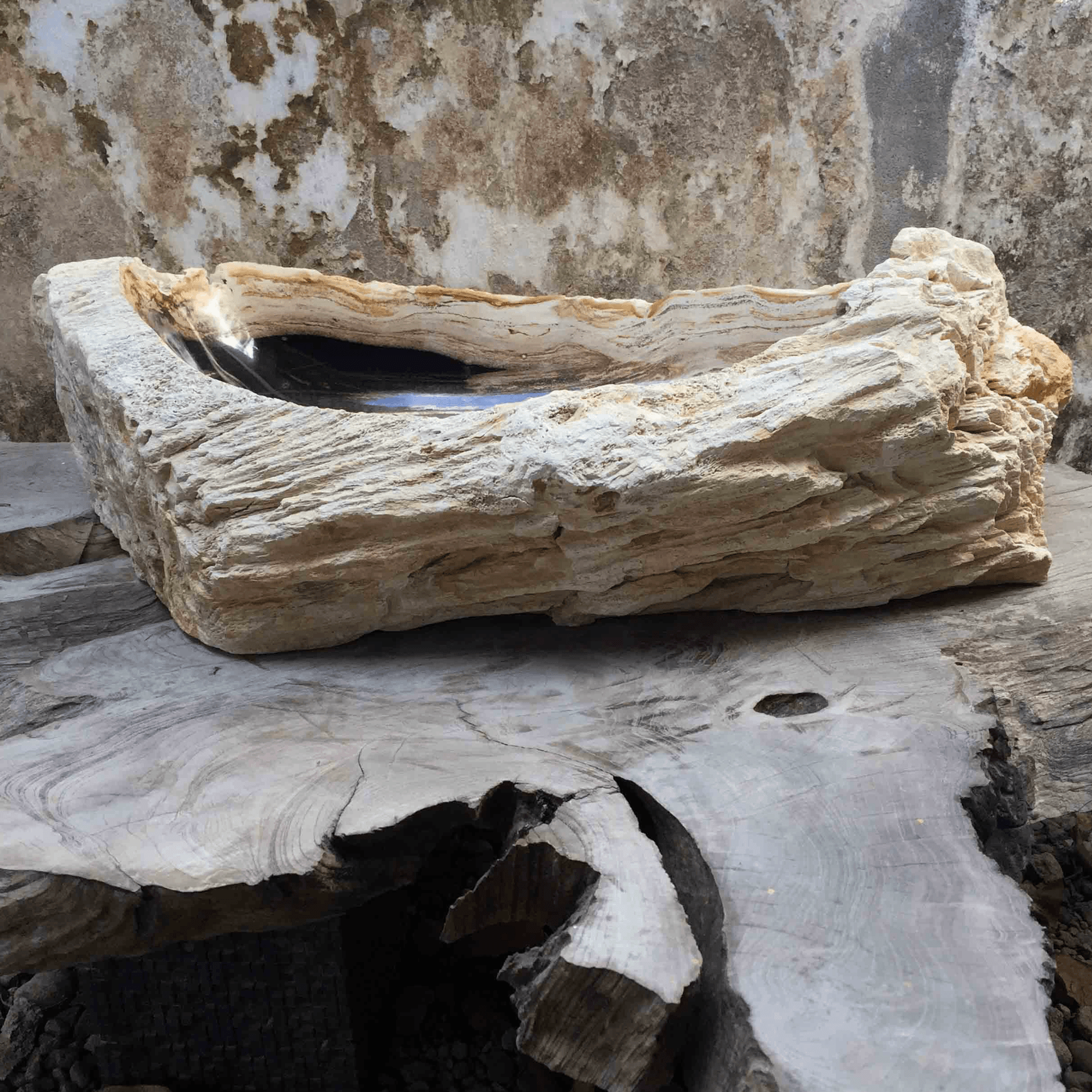 Petrified Wood Stone Basin