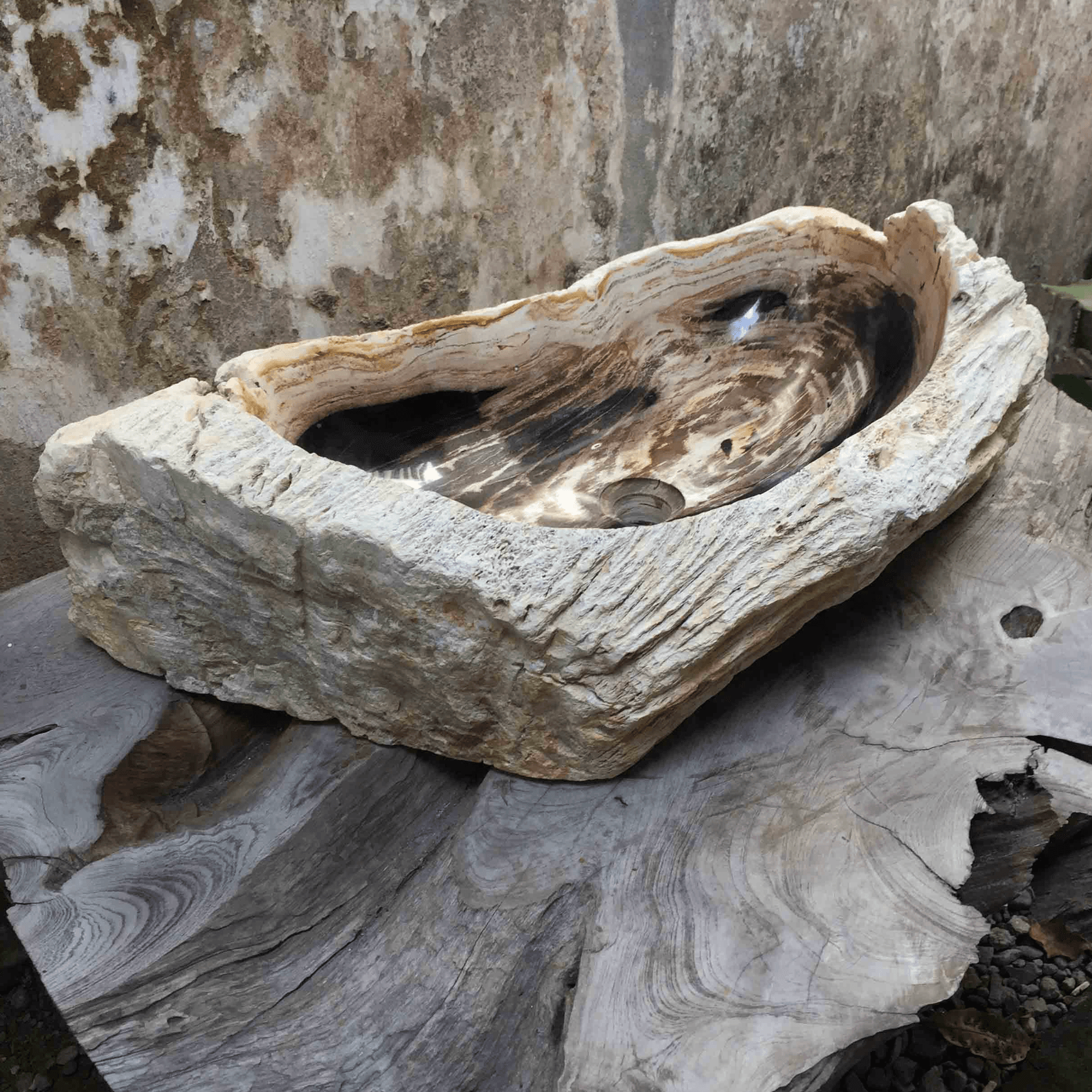 Petrified Wood Stone Basin